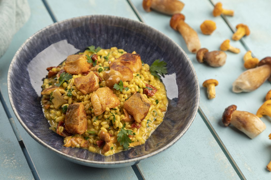 Buchweizen Risott mit Safran, Champignons und frischem Dorsch
