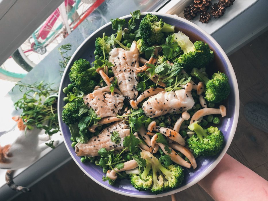 Dorsch mit grünem Salat